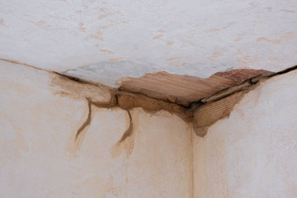 Best 24-hour water damage restoration  in Flat Rock, MI
