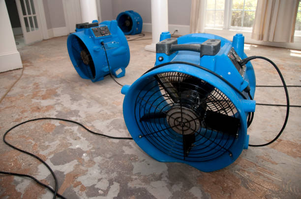 Best Water damage contractors near me  in Flat Rock, MI