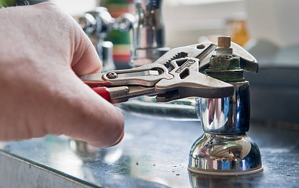 Best Water damage contractors near me  in Flat Rock, MI