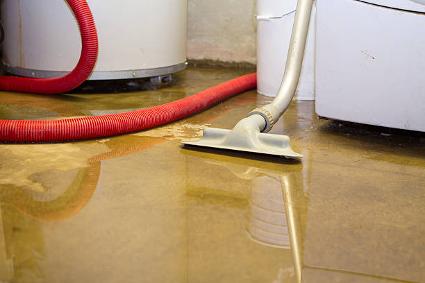 Best Water damage cleanup near me  in Flat Rock, MI