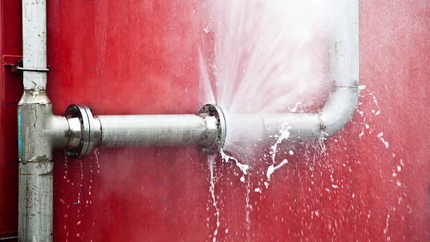 Best Basement water damage restoration  in Flat Rock, MI